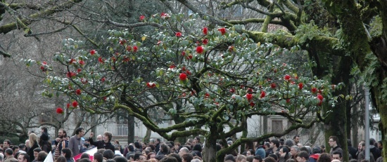 Queremos Galego: Manifestación do 21 de xaneiro