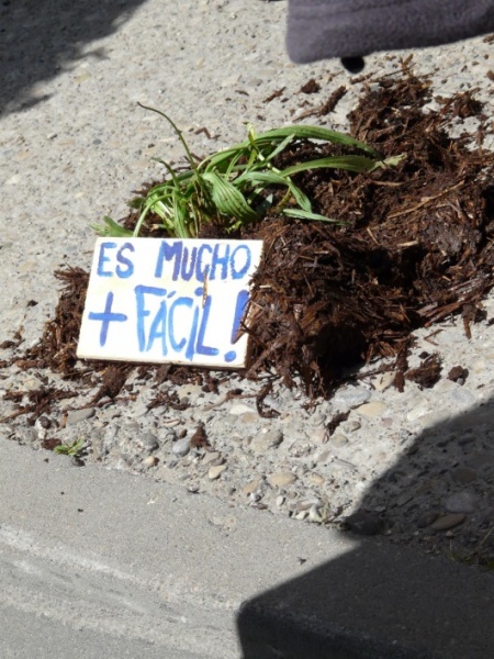 Marcha contra os transxénicos